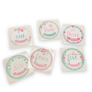 BABY GIRL MILE STONE ROUND STICKERS